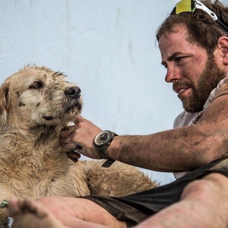 Mikael Lindnord and Arthur the dog. Lindnord gave us the real story that inspired the movie "Arthur the King."