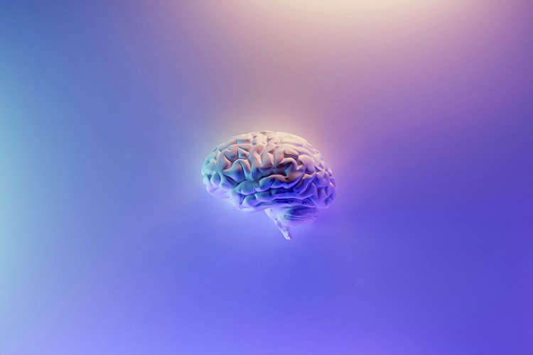 A digitally-generated brain against a purple background.