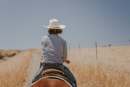 View of a man riding a horse and wearing a cowboy hat from the back