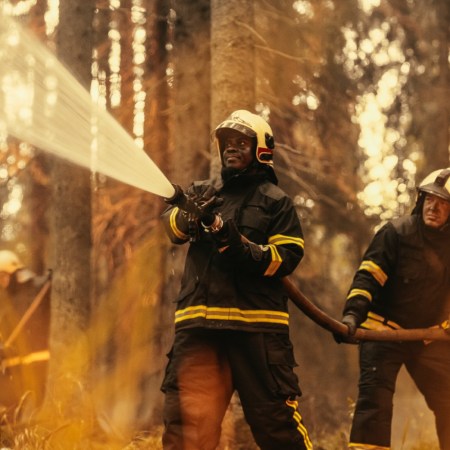 Firefighters