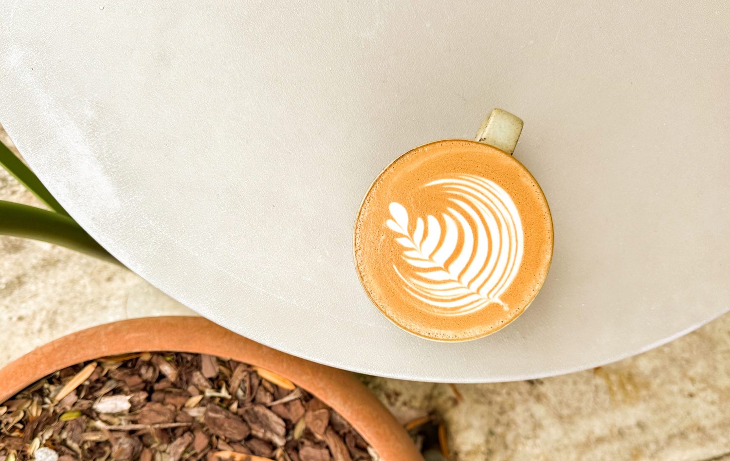 latte on white table