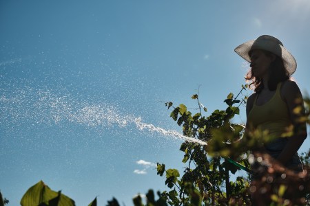 A woman watering plants.