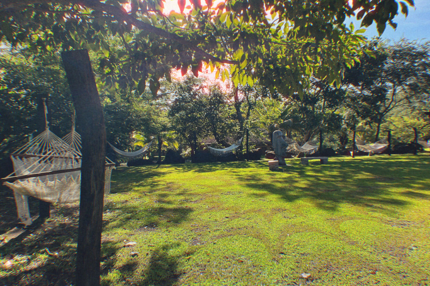 Sun shining during the day at Costa Rica's Rythmia retreat