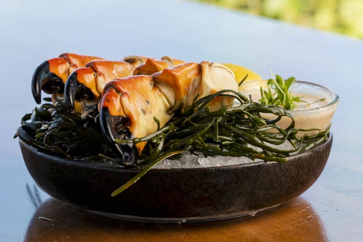 Plated stone crab in front of the ocean