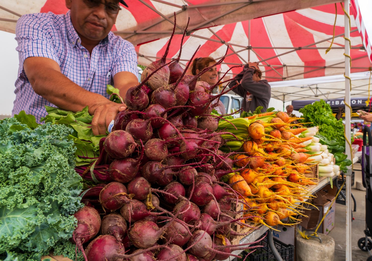 man handling radishes and other vegetables on a table under a tent 