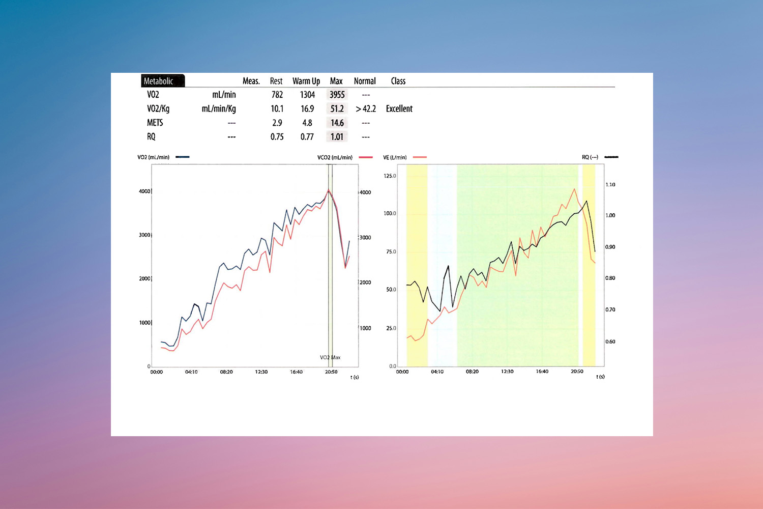 A snapshot of a VO2 max test from wellness writer Tanner Garrity